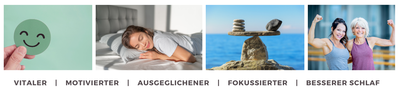 Bildteiler2.jpg Bildteiler2.jpg