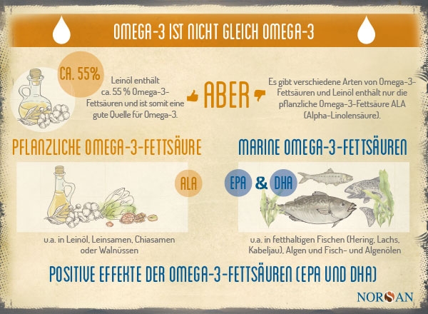 NORSAN_Infografik_Leinoel_DE_20200417_600x440px.jpg