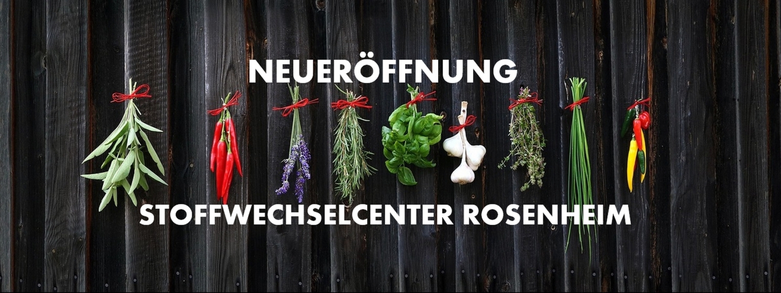 Header_SCR_1.jpg