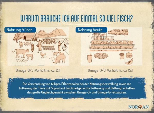 NORSAN_Infografik_Nahrung_DE_20200417_600x440px.jpg